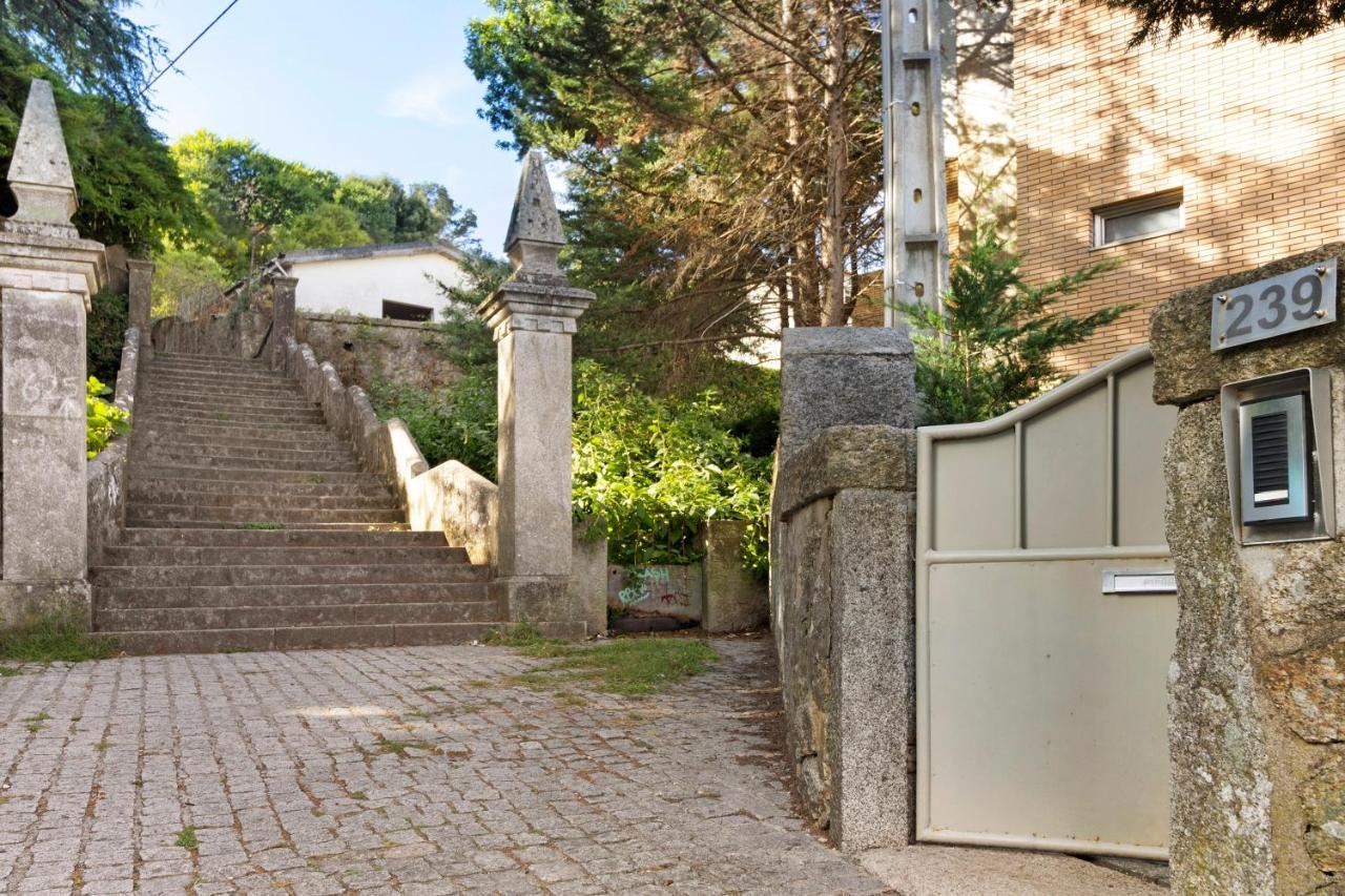Luzya * Viana do Castelo